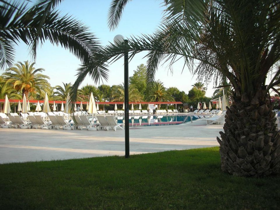 Poolanlage Hotel Miramare Beach