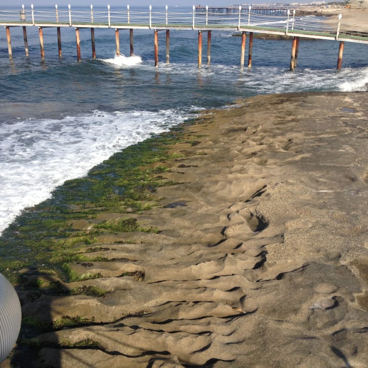Strand Dizalya Palm Garden