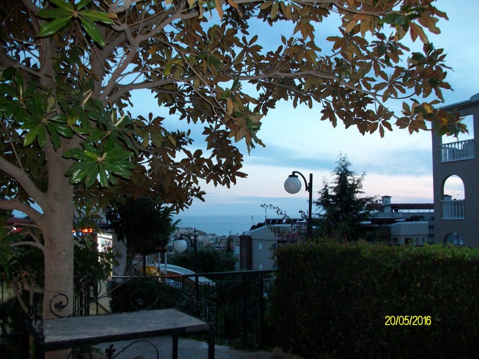 Gartenanlage Hotel Club Paradiso