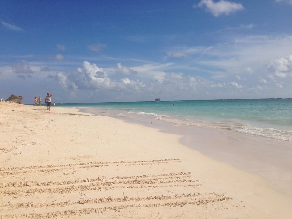 Strand  Ocean Blue & Sand