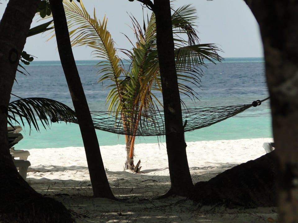 Paradiesisch Vilamendhoo Island Resort & Spa