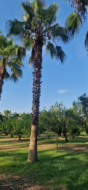 Außenansicht Club Grand Aqua