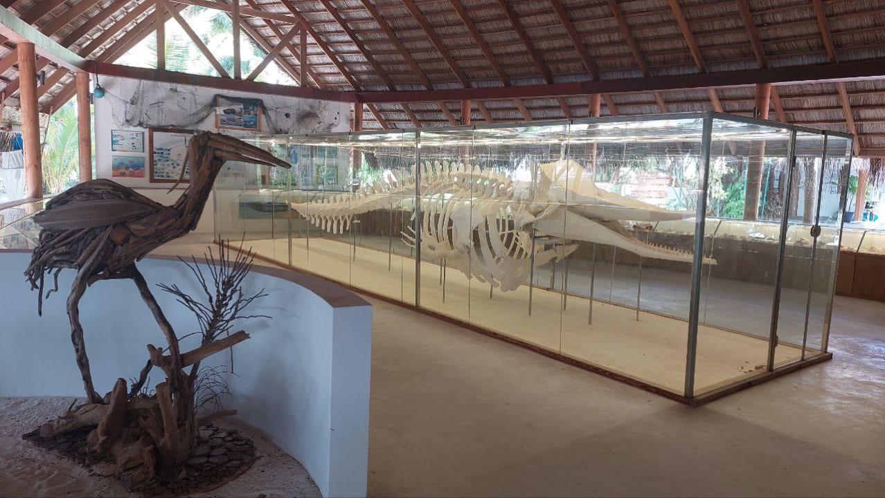 Sport & Freizeit Kuramathi Maldives