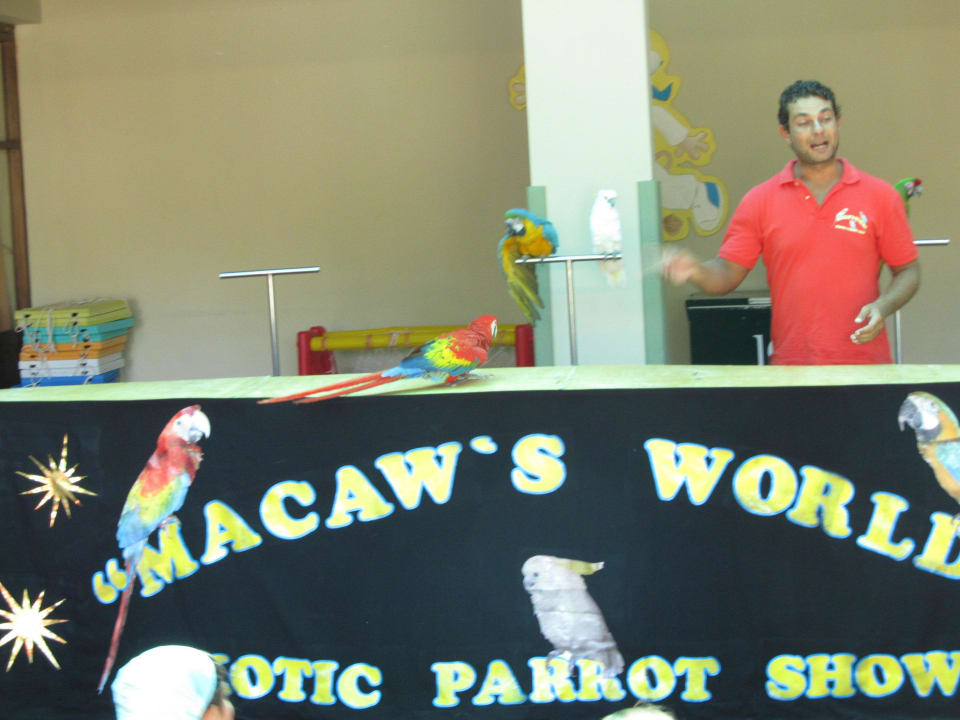 Papageienshow IC Hotels Green Palace