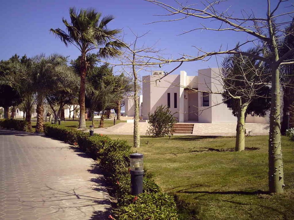 Bungalow Pharaoh Azur Resort