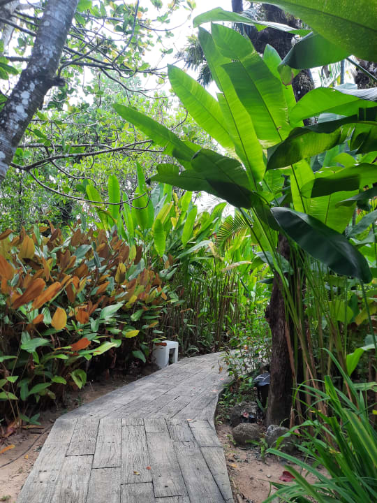 Gartenanlage Bangsak Village