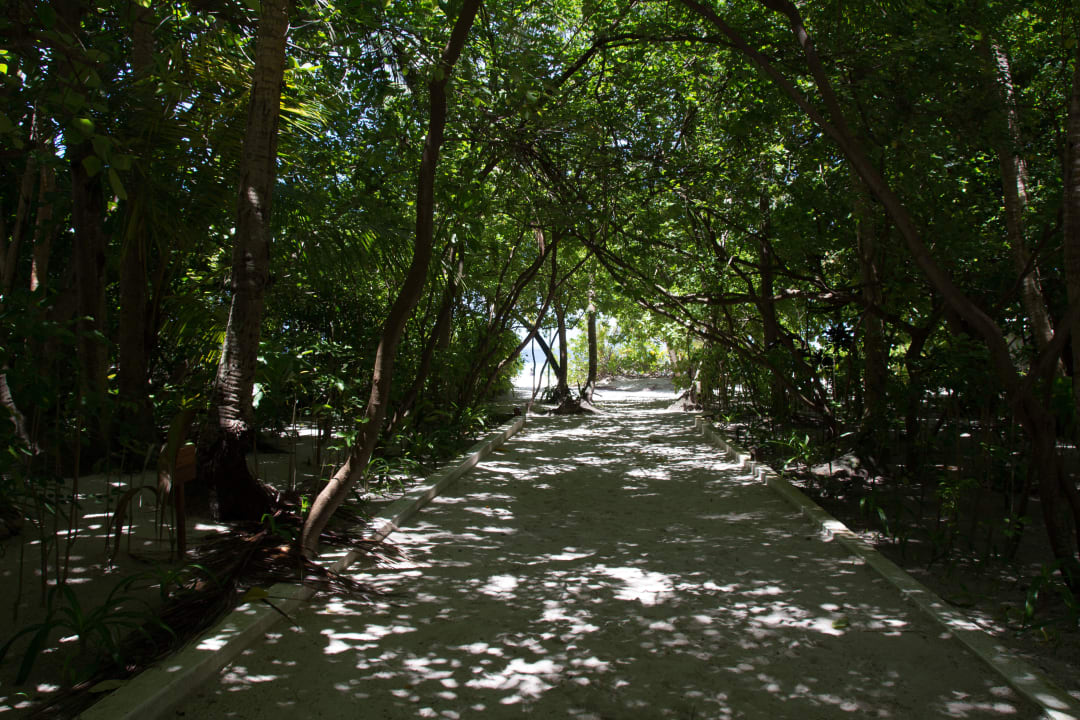 Schön Biyadhoo Island Resort