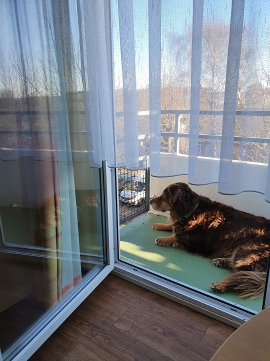 Zimmer Ferienwohnungen Ferienpark Weissenhäuser Strand
