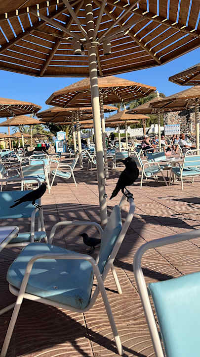 Ausblick Shams Safaga Resort