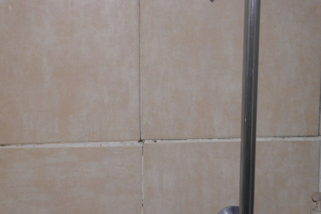 Brudne fugi Dodeca Sea Resort