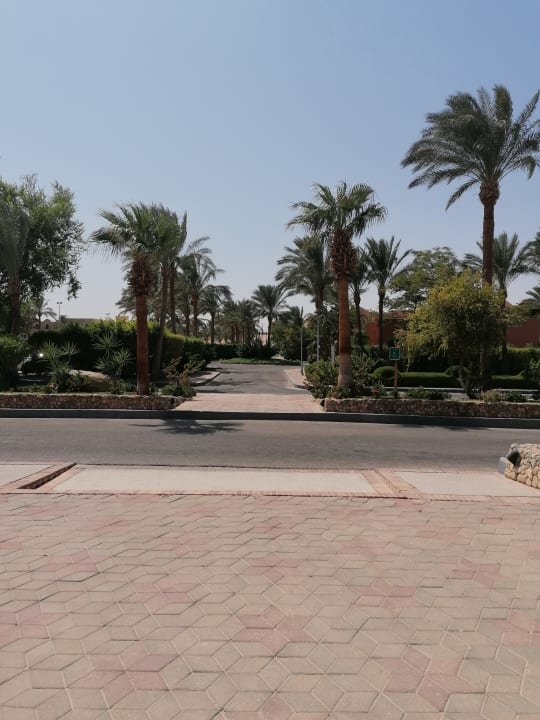 Gartenanlage Jaz Makadi Oasis Resort