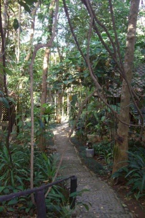 Weg durch die Hotelanlage Moracea by Khao Lak Resort