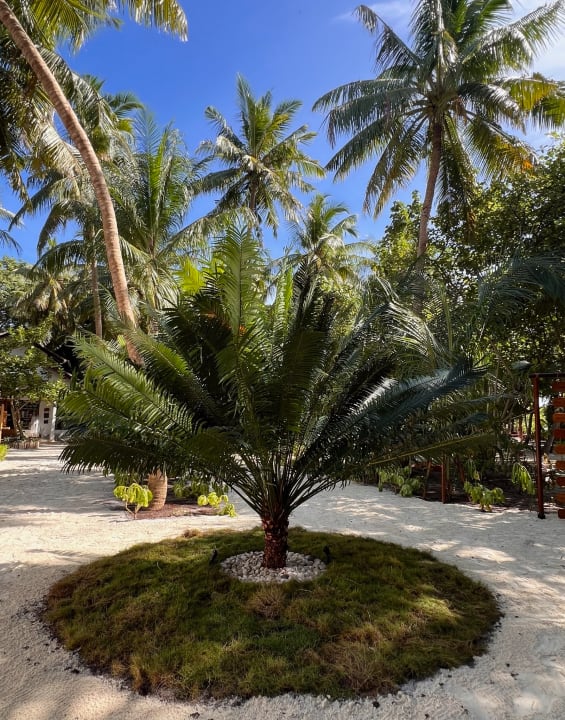 Gartenanlage Reethi Beach Resort