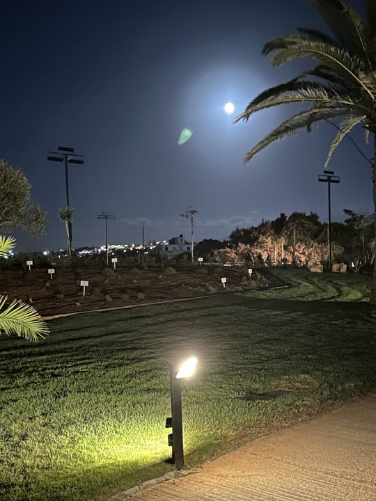 Gartenanlage Anissa Beach & Village