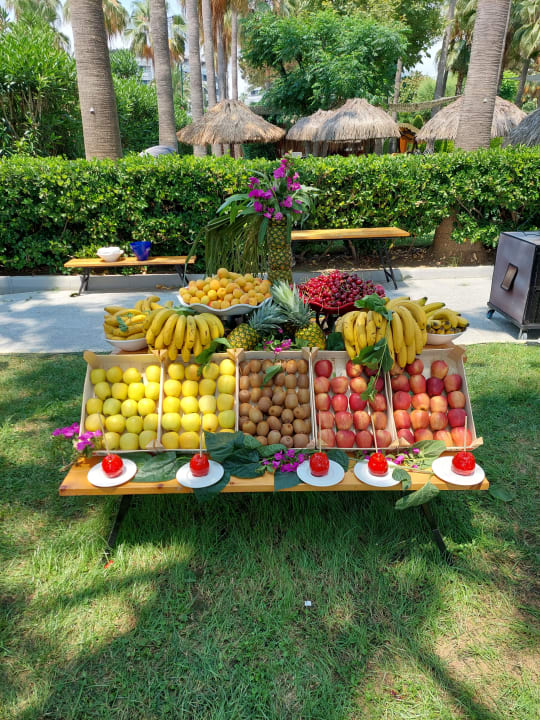 Gastro Miramare Queen Hotel