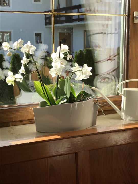 Sonstiges Pension Haus am Forst