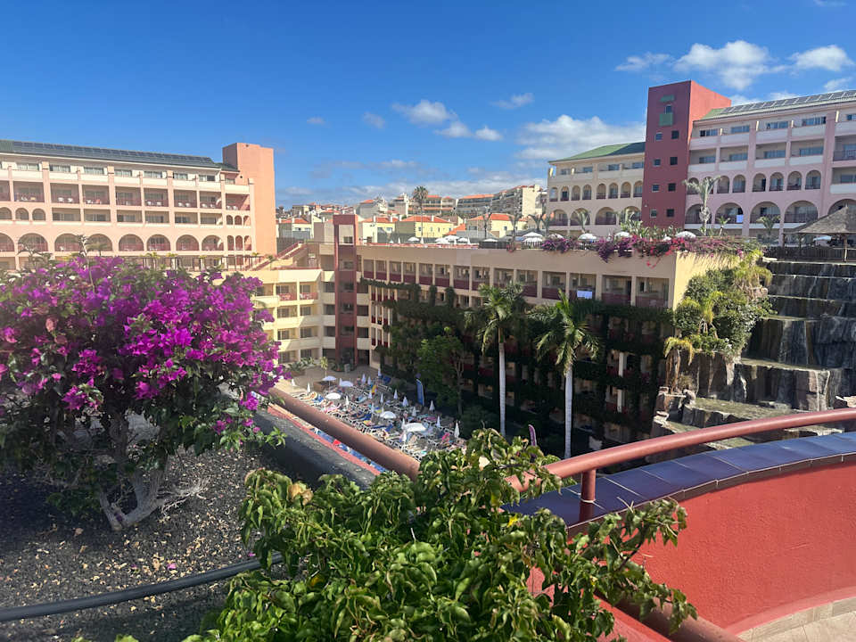 Gartenanlage Hotel Best Jacaranda