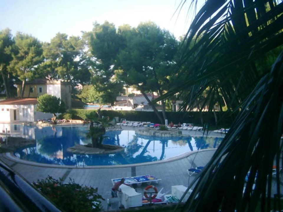 Pool BQ Belvedere Hotel