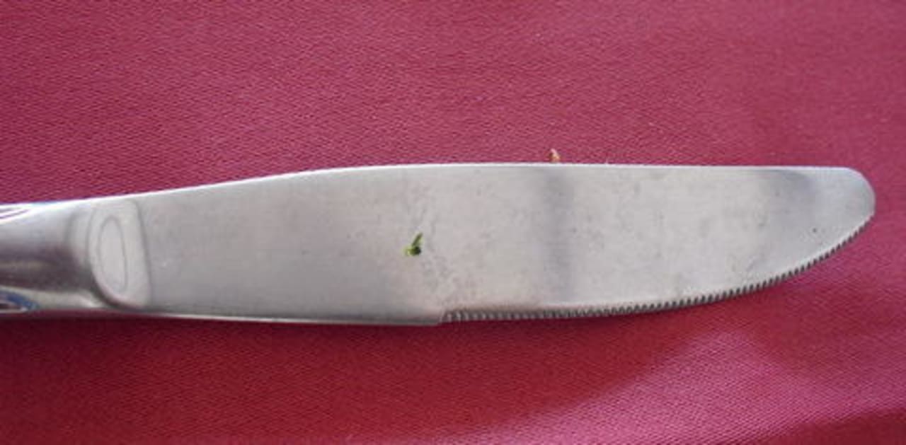 Noch ein weiteres Messer! Club Turtas Beach Hotel