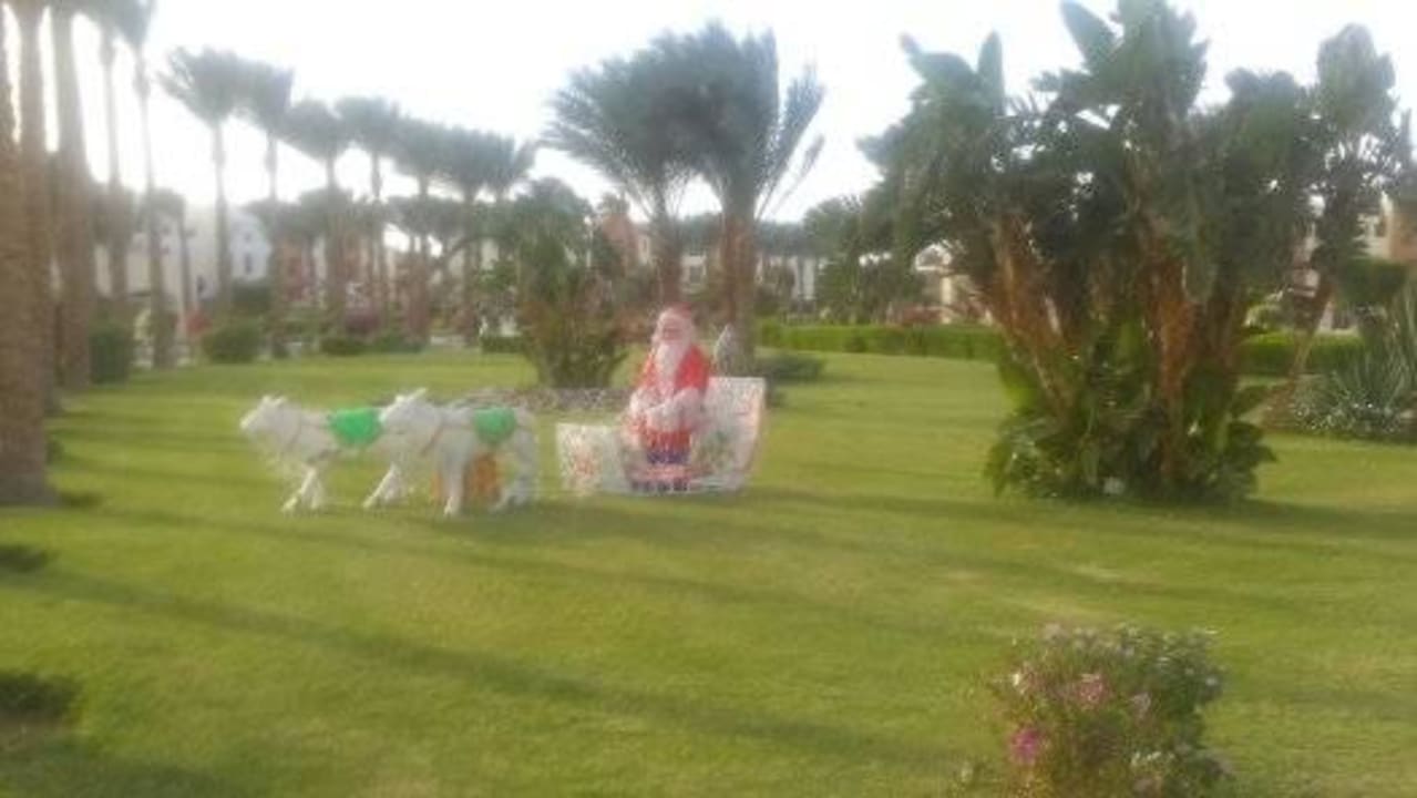 Es weihnachtet SUNRISE Royal Makadi Resort
