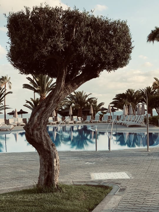 Pool Hotel Riu Palace Tenerife