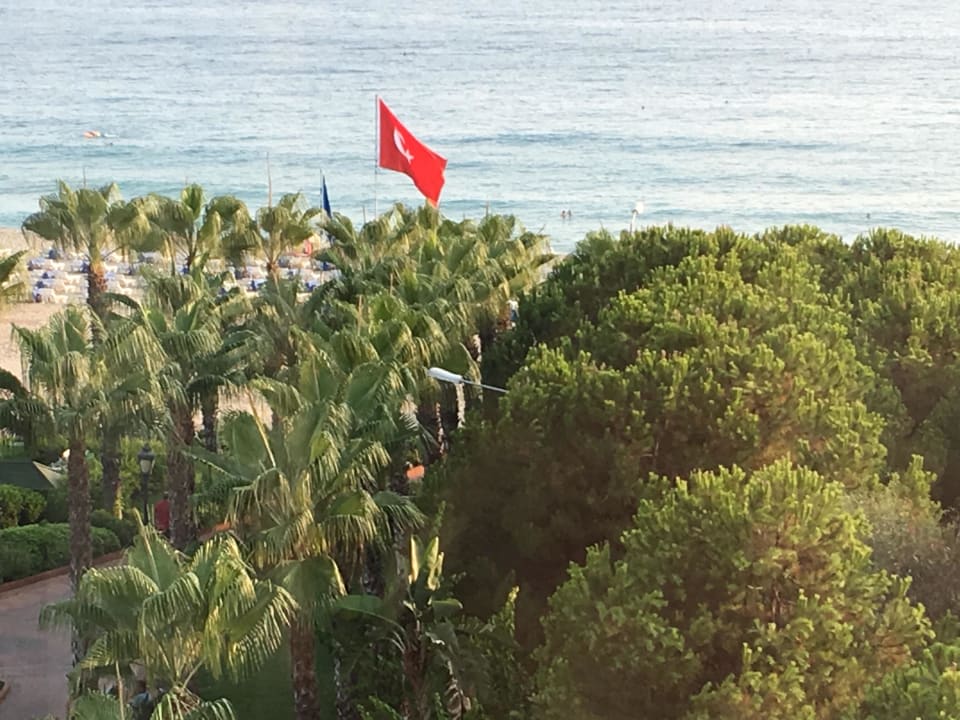 Ausblick Gardenia Hotel