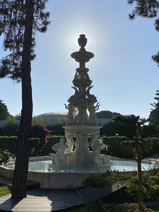 Sonstiges Papillon Ayscha