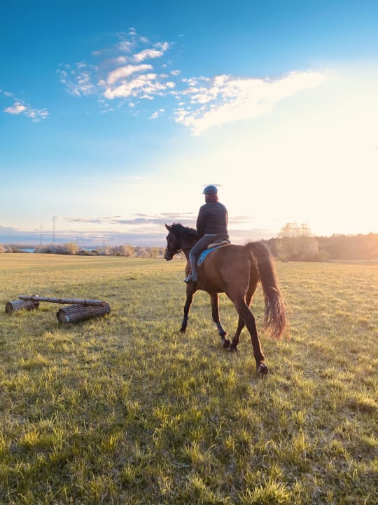 Sport & Freizeit Hotel Gutshaus-Kajahn