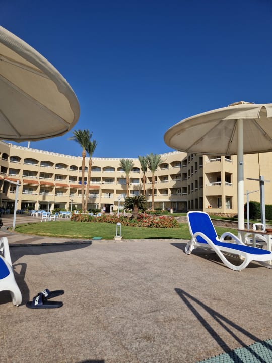 Pool Beach Albatros Resort
