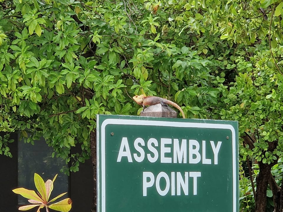 Gartenanlage Adaaran Select Meedhupparu Island Resort - Premium All Inclusive