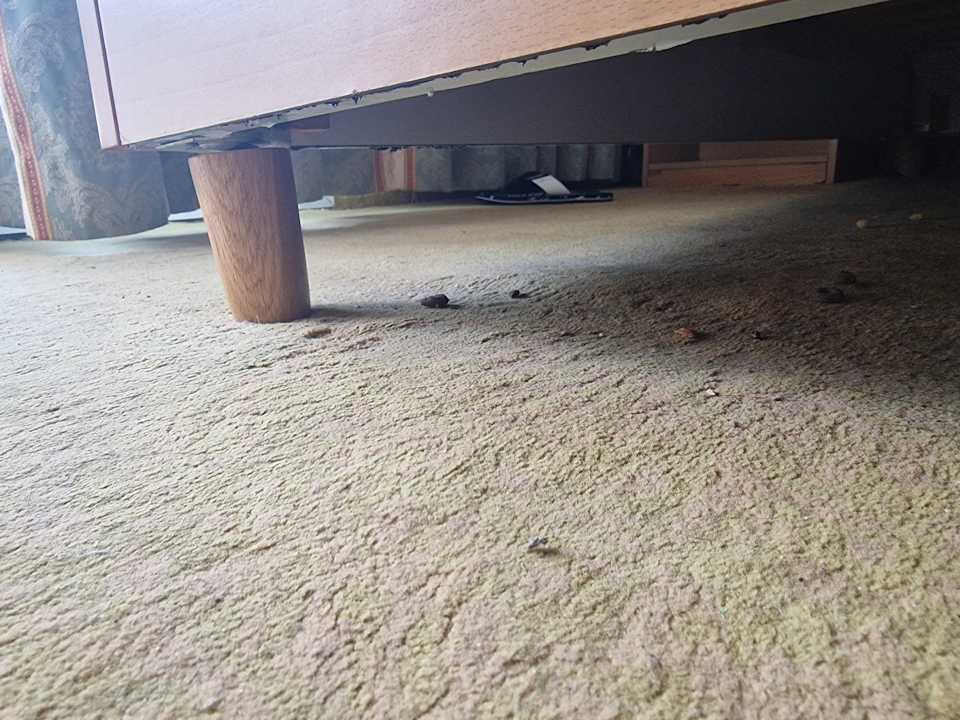 Zimmer Hotel El Mouradi Port El Kantaoui