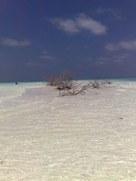Lingua di sabbia bianca Villa Park Sun Island