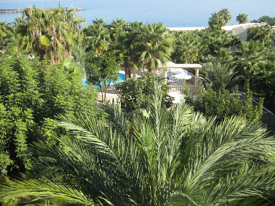 Blick von der Restaurantterrasse Oscar Resort Hotel