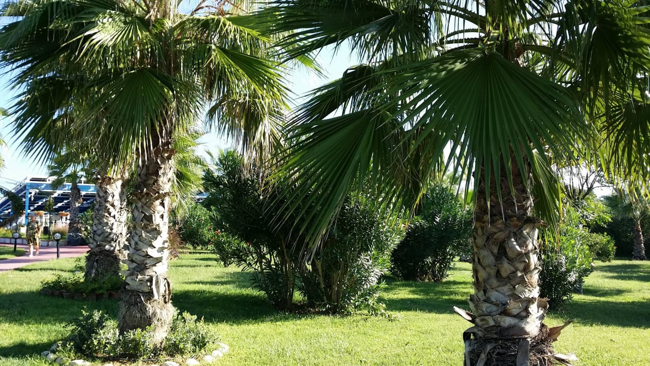 Große Palmen Hotel Turan Prince