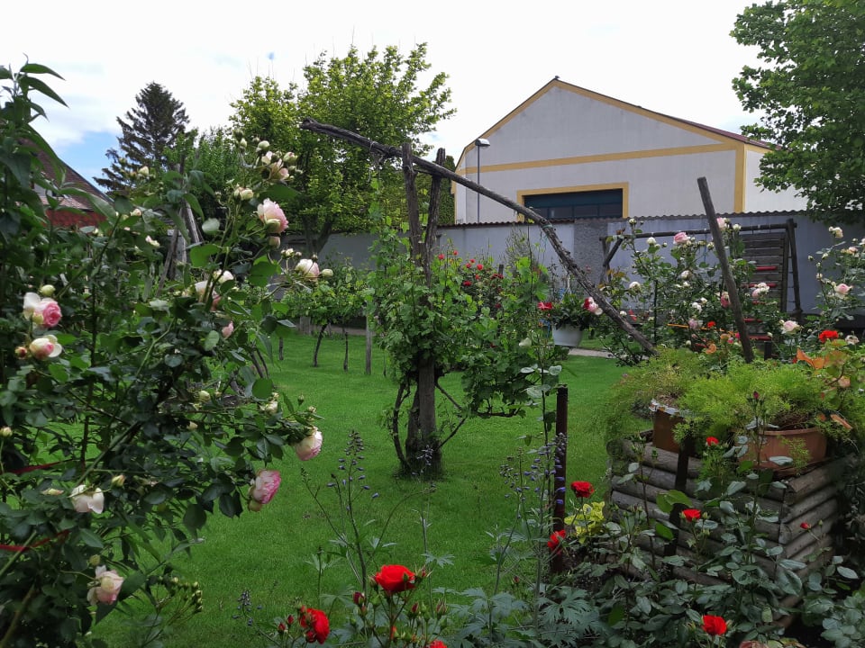 Garten Rabensteiner Apartman Pension