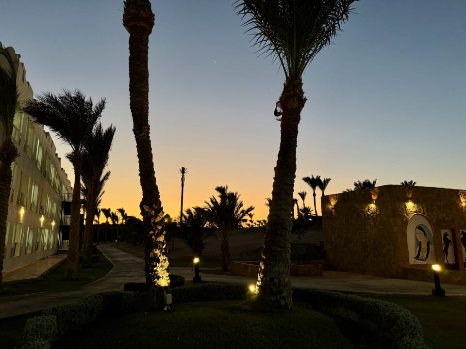 Gartenanlage SUNRISE Royal Makadi Resort