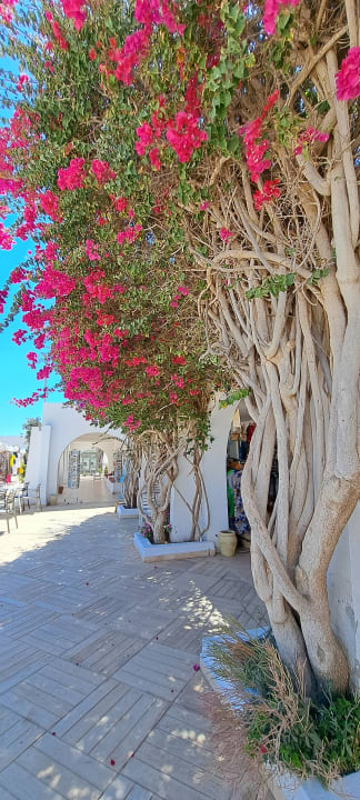 Sonstiges Hotel Seabel Rym Beach Djerba