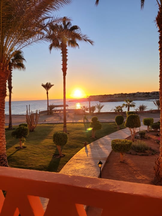 Gartenanlage Steigenberger Coraya Beach - Adults only