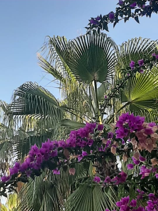 Ausblick Saphir Hotel & Villas