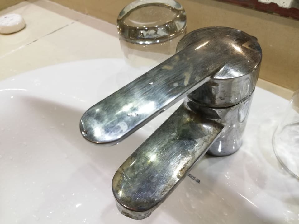 Zimmer Starfish Cuatro Palmas