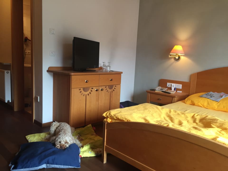 Zimmer Hotel Alte Mühle