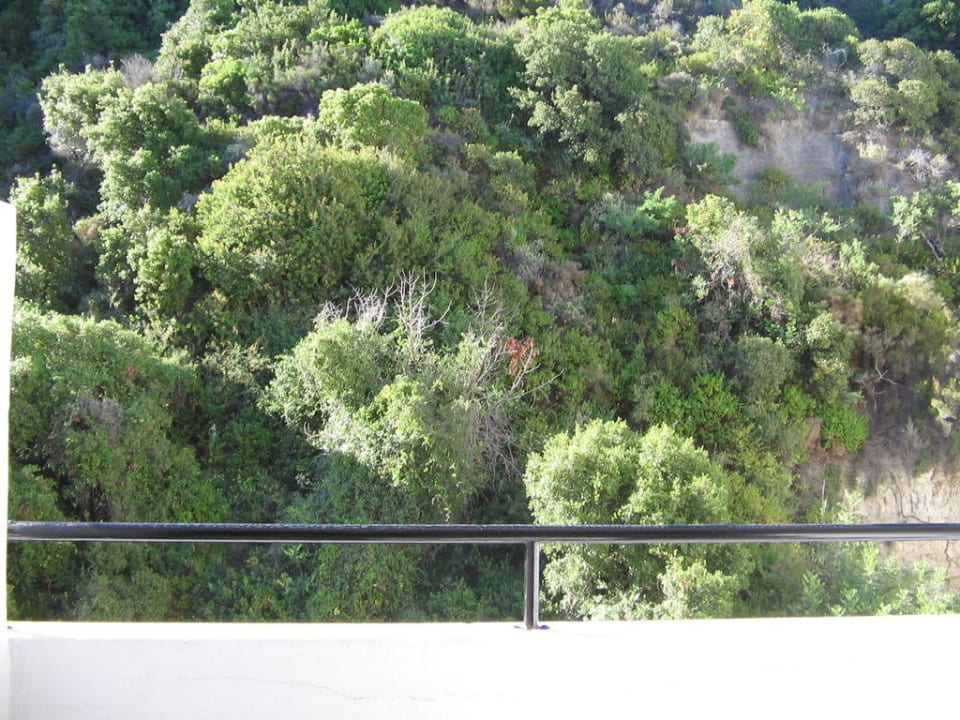 Ausblick Landseite Olympic Palace Resort Hotel & Convention Center