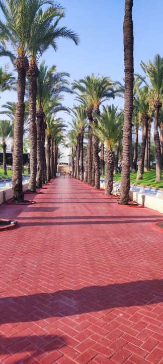 Gartenanlage Monachus Family Resort Sorgun