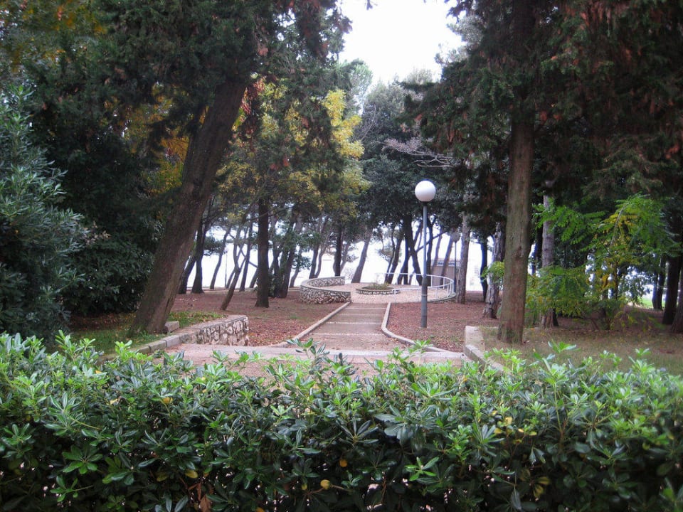 Vista dalla camera Valamar Sanfior Hotel & Casa