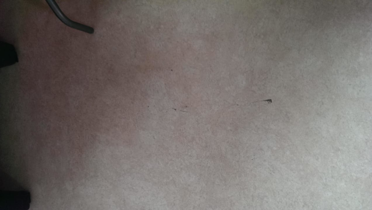 Dreckiger Boden Pension Zum Surgrund