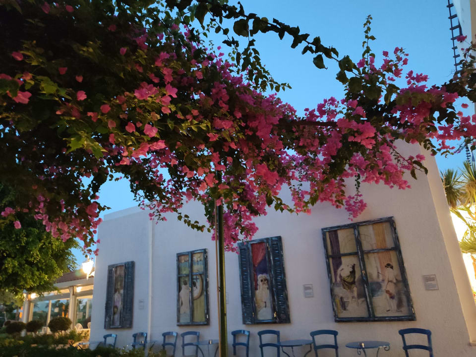 Gartenanlage Anissa Beach & Village