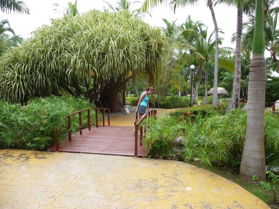 Gartenanlage Catalonia Punta Cana - All Inclusive