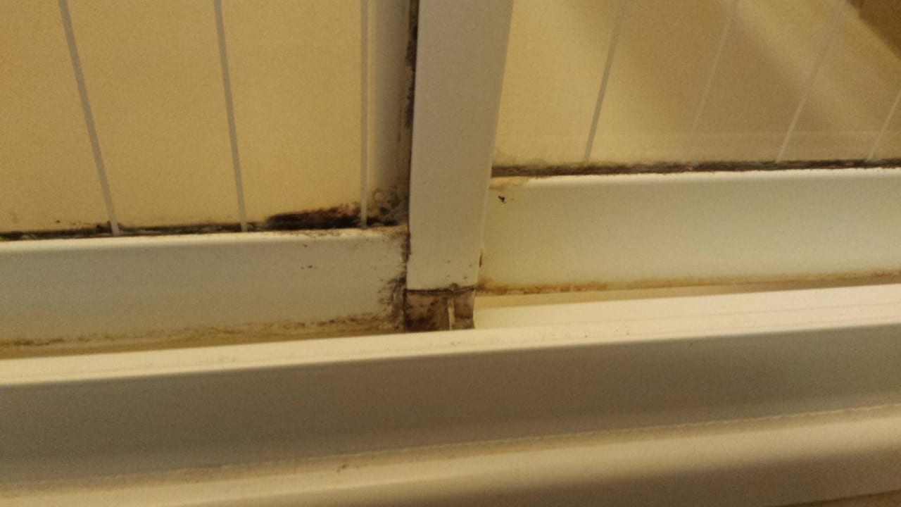 Dusche EG. Pfui! Hof Domburg