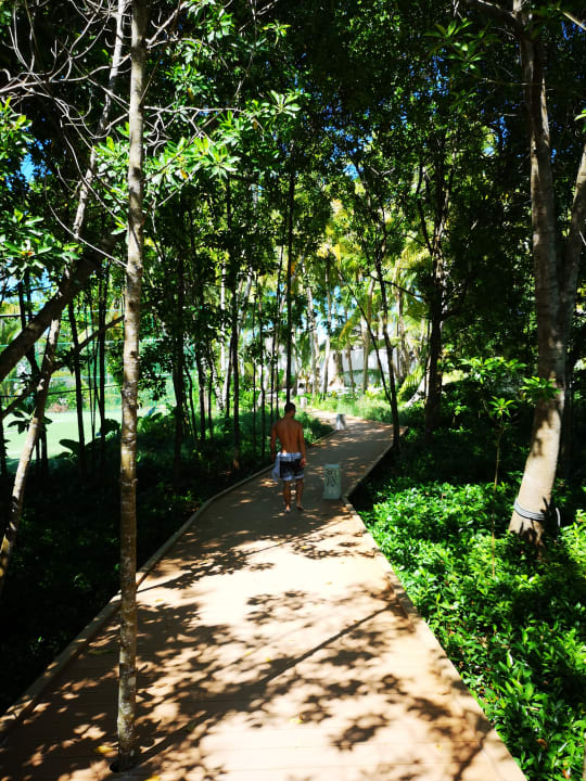 Gartenanlage Dreamland The Unique Sea & Lake Resort / Spa