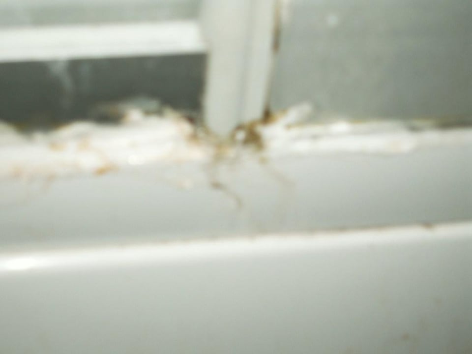 Ohne Worte! Hane Family Resort